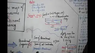 genetic map of chromosome. and recombinant frequency.
