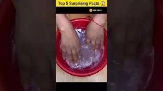 Top secret Amazing kitchen Hacks 🍵 😱| Mind Blowing Hacks In Hindi | Random Facts #facts #shorts
