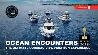 Ocean Encounters Diving Cura&ccedil;ao: Best Cura&ccedil;ao PADI 5 Star Dive Shop & Boat Diving Operator
