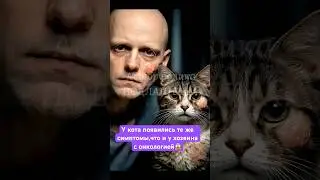 #котихозяин #верностьживотных #связьдуш #любовьбезусловий #животныечувствуют