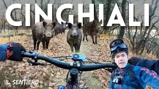 Sentiero Cinghiali - MTB Enduro Piossasco San Giorgio