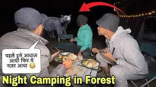 पहले इसकी आवाज़ आयी Overnight Camping in Wild Forest of Gool Ramban Jammu Kashmir | Camping in India