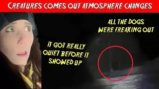 BIGFOOT CLOAKS IN THIN AIR AFTER KICKING UP SNOW ON LIVESTREAM highlights 