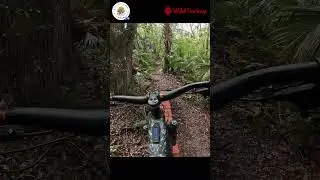 Wild Turkey at Chuck Lennon Mountain Bike Trails - Central Florida Bike Tours - Turbo Levo 3 E-Bike