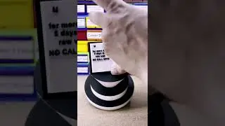 I 3D Printed A Coworker an Attendance Trophy I'd Never Earn Myself!