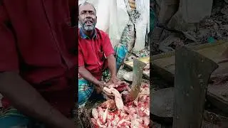 Most Satisfying Silver Carp Cleaning Ever! ASMR Fish Cutting 😍🐟#shorts