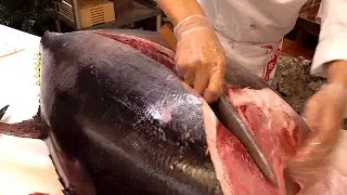 Giant Tuna Cutting Show | Amazing Sushi and Sashimi