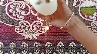 Candle and water balloon science experiment || MR. DEV SAINI ||