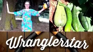 Homestead Garden Update July | Mrs Wranglerstar