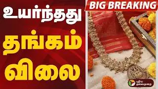 #BIGBREAKING | உயர்ந்தது தங்கம் விலை | Today Gold Rate News Update | Gold Price Hike | 24-02-2026