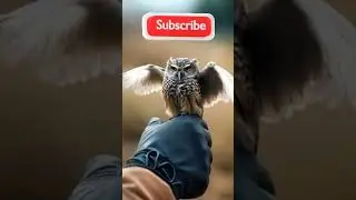 A tiny owl #shorts #ai #birds #cute #owl #nature #nest #automation #funny #beautiful #ytshorts