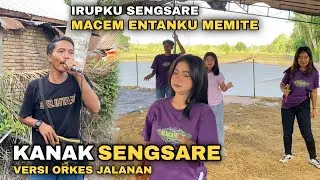 HIDUPKU SENGSARE MACEM NTANKU MEMITE | HARIADI 