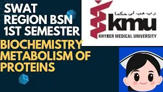 Swat Region Protein Metabolism |Biochemistry BS Nursing 1st Semester|Conceptual Nursing Academy