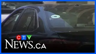 Edmonton mandates training for taxi, Uber, Lyft drivers