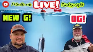 🔴 Lyle Stokes! Live Chat on Palmetto Cats Live
