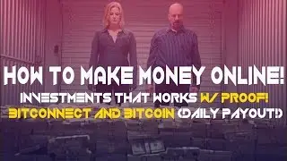 How To Make Money Online - Investments That WORKS W/ PROOF! - Bitconnect and Bitcoin (Daily Payout!)