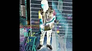 Zayswerve x BIZjr - Check