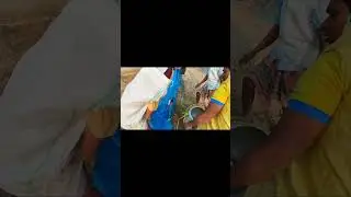 পৌষ সংক্রান্তির জন্য আজকে লোকের পুকুরে মাছ কিনতে এসেছি।
