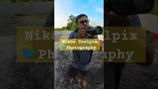 🐦❤️ Nikon Coolpix 📸 Birds Photography 🔥#birds #photography #nature #shorts #reels #youtube
