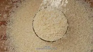 Initiative on Strengthening SSTC in China-Africa Rice Value Chain