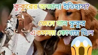 কখন থেকে কুকুর গৃহপালিত? &zwj;Since when were dogs domesticated?