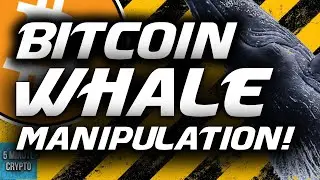 BITCOIN WHALE MANIPULATION!!! WILL $30K/BTC BE BROKEN?! & 2017 BULL RUN VS 2021 BULL RUN!