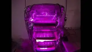 Growing Our Own Food | Seed Starting |  Survival prepper