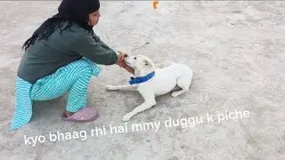 Kyo bhaag rhi hai mmy duggu k piche?||welcome back to my new exciting vlog guy's||