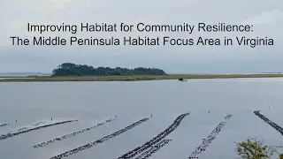 Restoring Habitat in the Middle Peninsula (Virginia)
