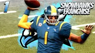 Madden 19 Team Builder Franchise - Meet The Snowhawks