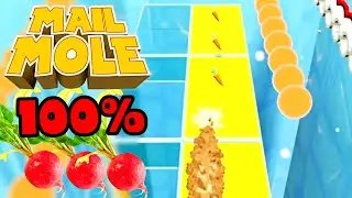 Mail Mole XPress Deliveries 📪 100% Walkthrough 📪 All Radishes #4