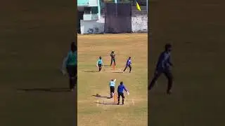 New Cricket Whatsapp Status || Cricket Lover Status