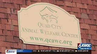 Quad City Animal Welfare offers low-cost curbside clinic