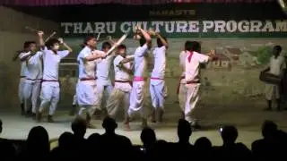 Tharu Culture Dance (part 1)