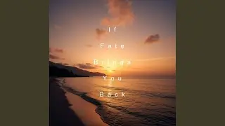 If Fate Brings You Back