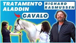 CAVALO ÁRABE DO RICHARD RASMUSSEN PASSA POR TRATAMENTO VETERINÁRIO! PART. JUKANALHA