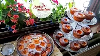 Kerstins hei&szlig;e K&uuml;che - Marillenkuchen/ Muffis / Aprikosekuchen (Rezept)