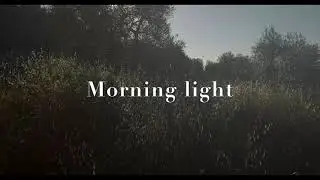 PATRICK HAMILTON - Morning light (Teaser)