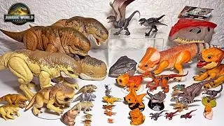 Distortus rex vs Mutadon! FT. Aquilops & Velociraptor! Jurassic World Rebirth Dinosaurs Collection!