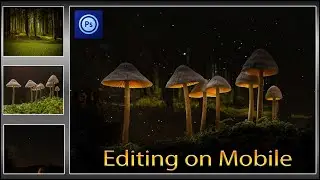 Ps Touch - Photo Manipulation | Glowing Mushrooms