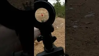Carry Handle AR-15 #gun #shooting #airsoft #shorts