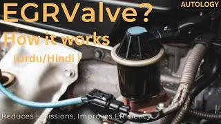 EGR Valve Working Explanation How it Works|AUTOLOGY 
