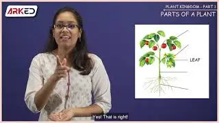 Plant Kingdom #Class2 #Science