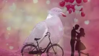 Matu love songs + Khawzin Kamang Veng Nang Kan Huh Cover By - Ren