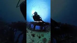 Diving is ALWAYS a Vibe 🌊 #scuba