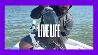 Use your hobbies to help heal your trauma! @Marinfishing