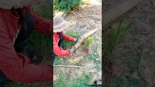 Massive Culvert Drain Cleanup 💧 #youtubeshorts #viralvideo #shorts