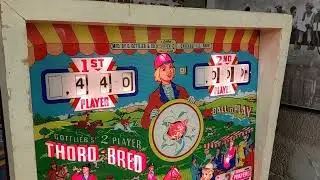 Thoro-Bred Pinball from Gottlieb real classic machine from 1964 in gameplay