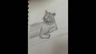 Draw a Jaguar with me? :D 🐆Jaguar#drawing #jaguar #cuteanimal #likeandsubscribe #cute