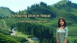 most beautiful place kanyam ilam पुर्बी नेपालकाे अति सुनदर ठाउँ कन्याम इलाम